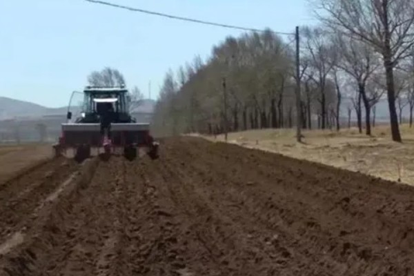 中药材除草剂的使用方法,使用苗前除草剂要进行土攘封闭处理