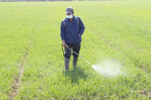 中药材除草剂的使用方法,使用苗前除草剂要进行土攘封闭处理