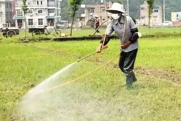中药材除草剂的使用方法,使用苗前除草剂要进行土攘封闭处理