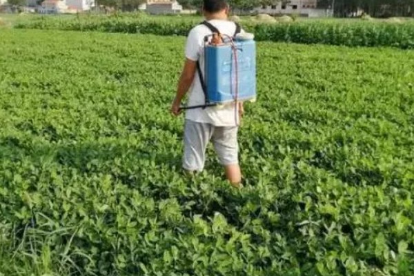 中药材除草剂的使用方法,使用苗前除草剂要进行土攘封闭处理