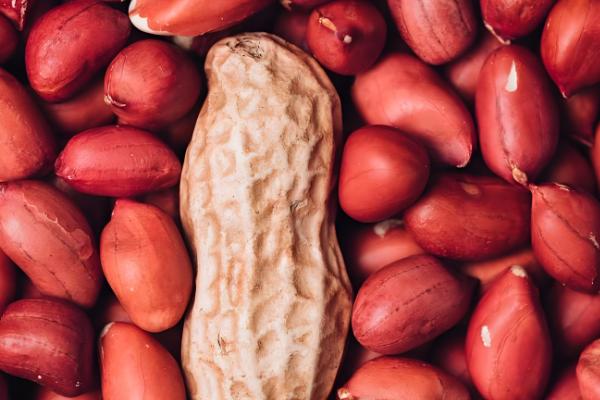 花生的亩产量，一般在300kg左右