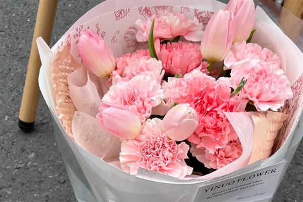 康乃馨花有什么寓意，寓意慈爱和蔼、真情等