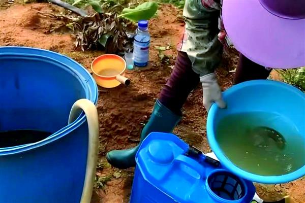 怎样科学农药配兑，首先配兑顺序要准确