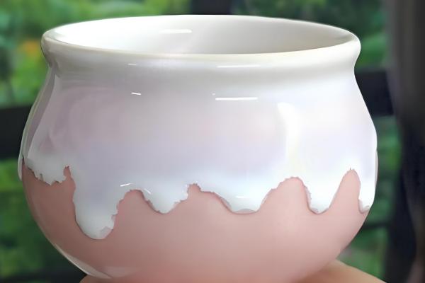 金虎仙人球变黄怎么处理,夏季放在阴凉通风的地方养护