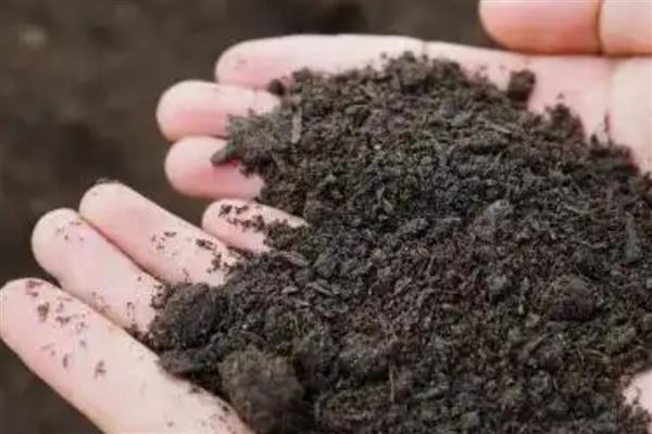 怎么对营养土消毒杀菌，可采用日光暴晒法