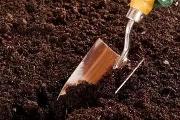 怎么对营养土消毒杀菌，可采用日光暴晒法