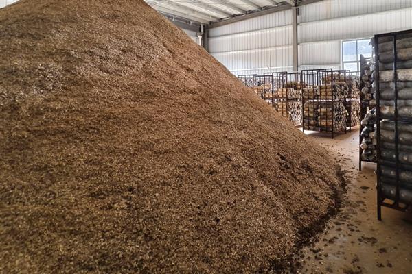 怎么对营养土消毒杀菌，可采用日光暴晒法