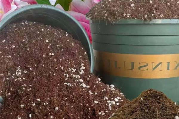 怎么对营养土消毒杀菌，可采用日光暴晒法