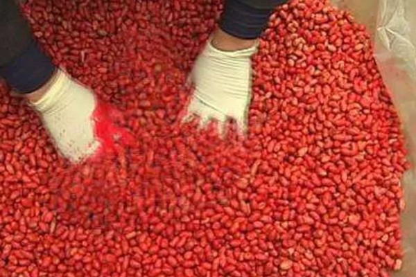 玉米的常见病害及防治方法，常见的有大斑病、小斑病等