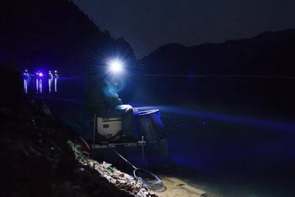 夜钓灯推荐品牌，顶点、三友、熊火值得选择