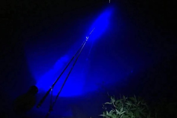 夜钓灯推荐品牌，顶点、三友、熊火值得选择