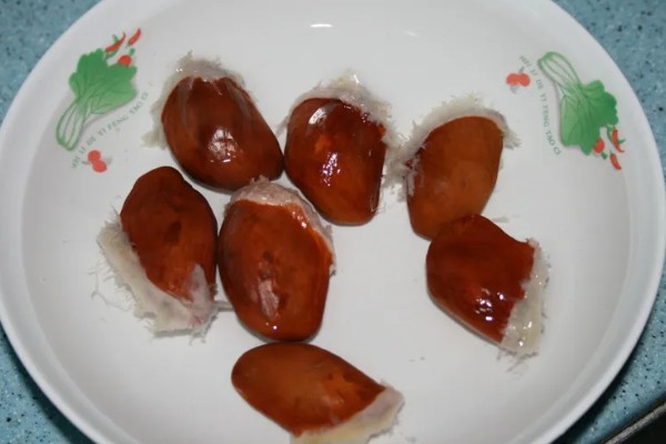榴莲籽种小盆栽的方法,播种前先浸种