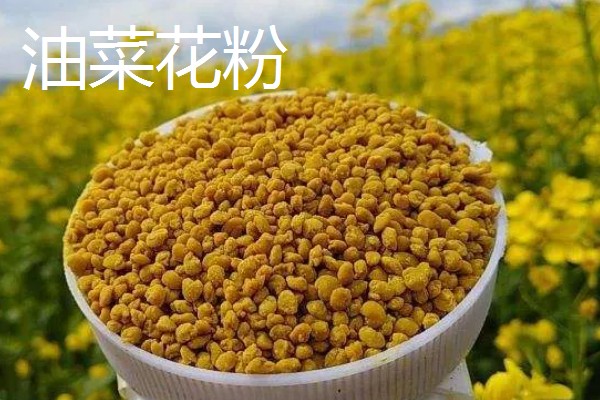 蜂花粉有什么类型,常见百花粉、油菜花粉、荷花粉等种类