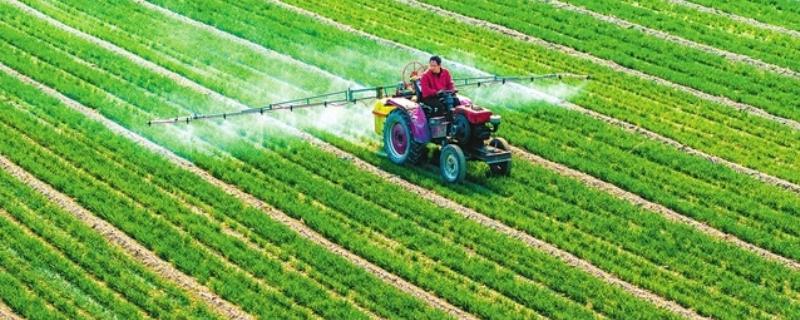 小麦抗倒伏农药用哪种好，推荐用矮壮素、多效唑等