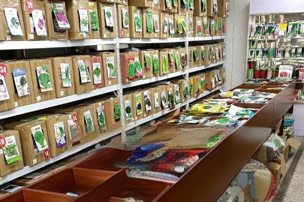 购买种子的注意事项，以下6个原则要牢记