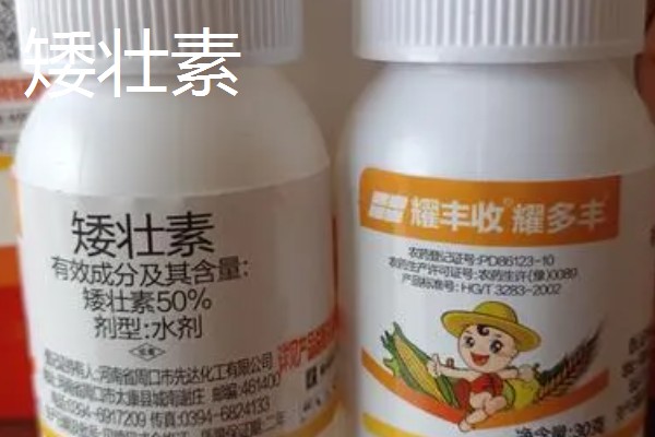 小麦抗倒伏农药用哪种好，推荐用矮壮素、多效唑等