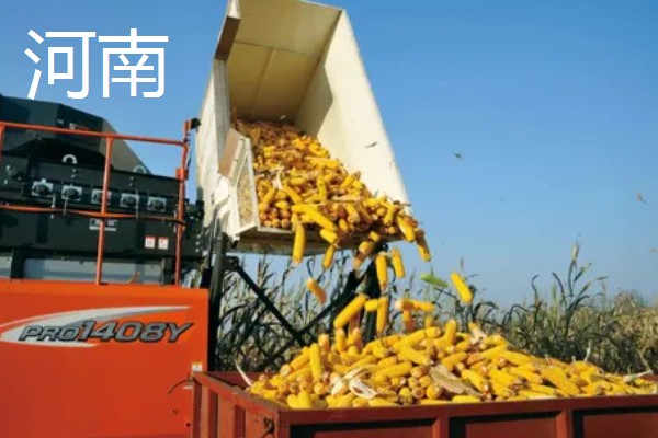 各地种植与收获玉米时间,山东通常在4月初种春玉米