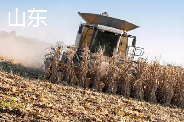 各地种植与收获玉米时间,山东通常在4月初种春玉米