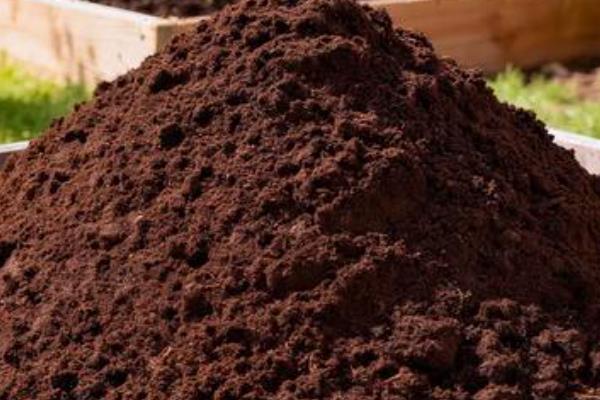 茶叶渣发霉了能不能当作肥料,里面的霉菌会影响植物生长