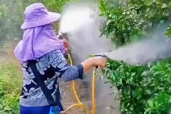 叶面肥简介,形态主要有无机盐以及螯合物两类