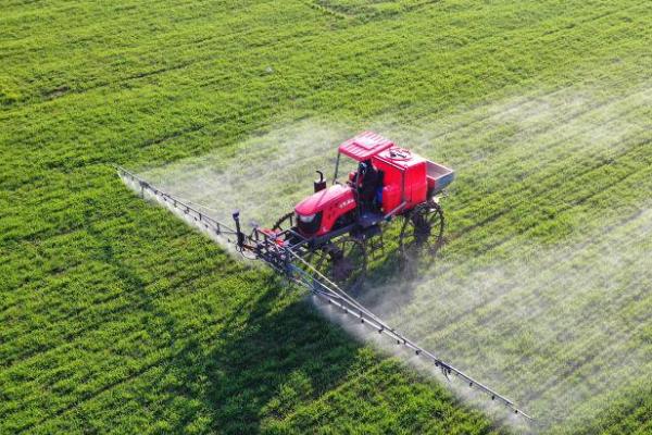 怎么防治麦田红蜘蛛，在潜伏期灌水可以灭杀虫体
