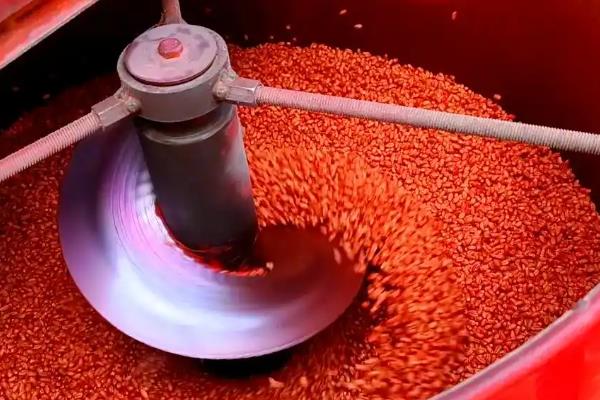 怎么防治麦田红蜘蛛，在潜伏期灌水可以灭杀虫体