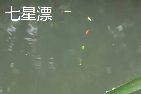 野钓鲫鱼用香饵还是腥饵,根据季节决定
