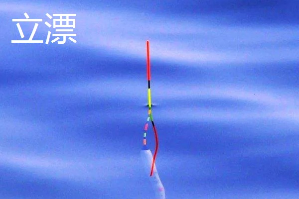 野钓鲫鱼用香饵还是腥饵,根据季节决定