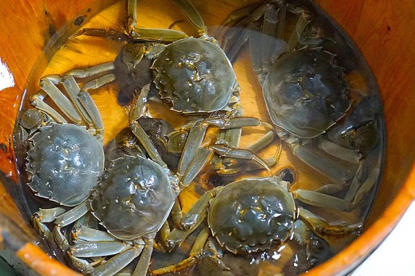 活螃蟹冷冻死了还能吃吗,可以食用但不宜存放的时间太长