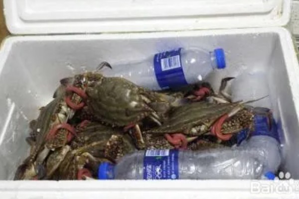活螃蟹冷冻死了还能吃吗,可以食用但不宜存放的时间太长