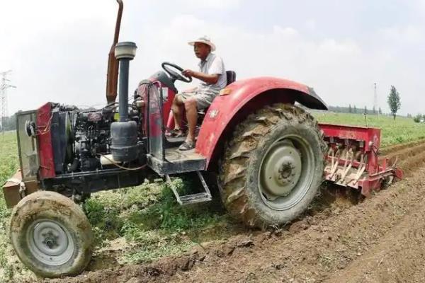 玉米一埯双株种植要点，应选择高产耐密良种