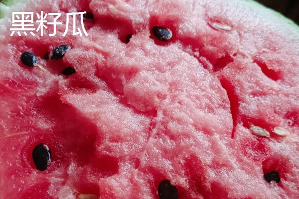 8424西瓜是黑籽吗,8424西瓜是黑籽