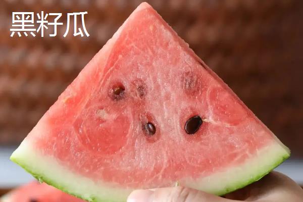 8424西瓜是黑籽吗,8424西瓜是黑籽