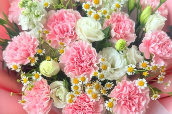 送母亲鲜花适合什么花,推荐康乃馨、剑兰等