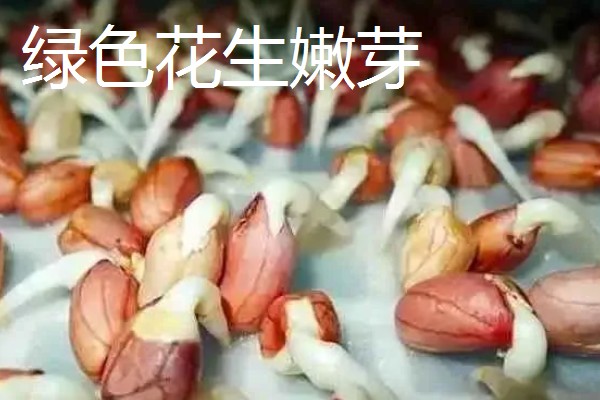 花生类产品的加工项目,加工制品有花生乳、蜜脆花生等