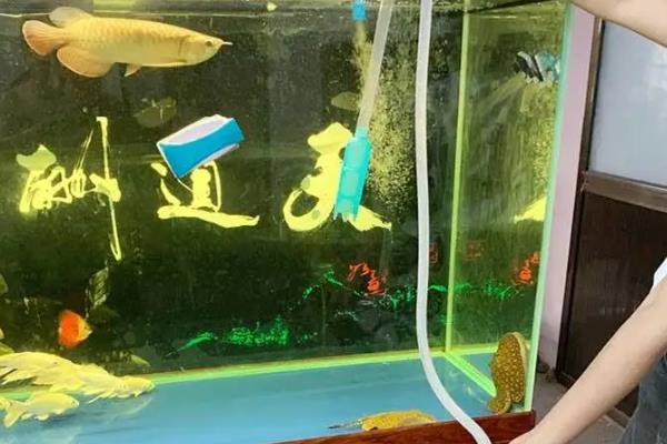 鱼缸每次换水的量,每次可以换掉三分之一的水