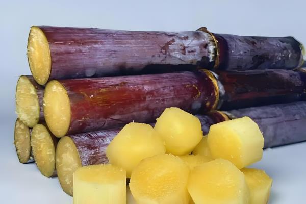 用途广泛的经济作物有哪些，有棉花、花生、甘蔗等