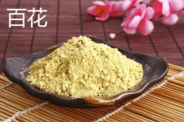 松花粉怎么吃,用温开水送服也可与蜂蜜或牛奶一起服用