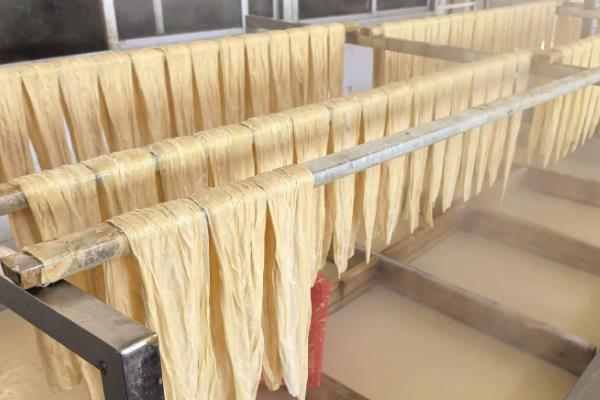 豆制品的种类，常见豆腐、豆浆、大豆粉等食品