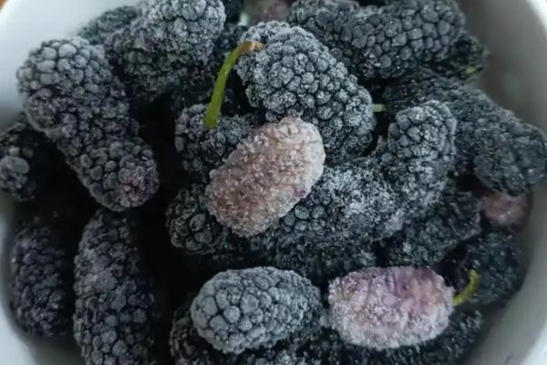 怎么洗桑葚,要用流动的水冲洗