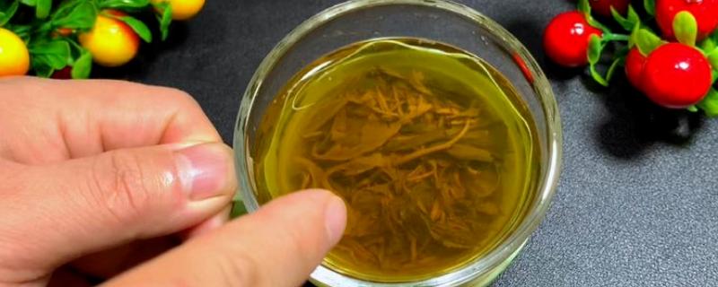 隔夜茶水可以浇文竹吗，隔夜茶水可以浇文竹