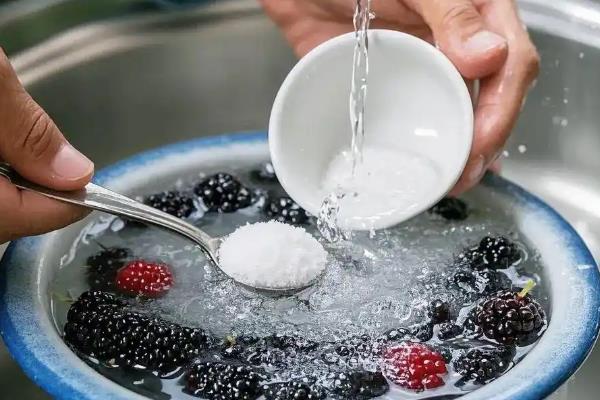 怎么洗桑葚,要用流动的水冲洗