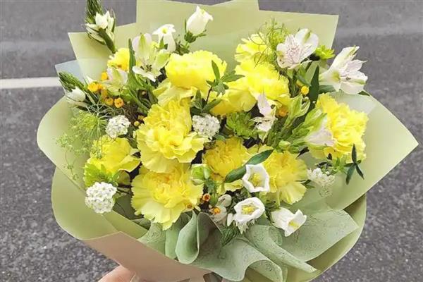 康乃馨的花语,不同颜色的花语不同