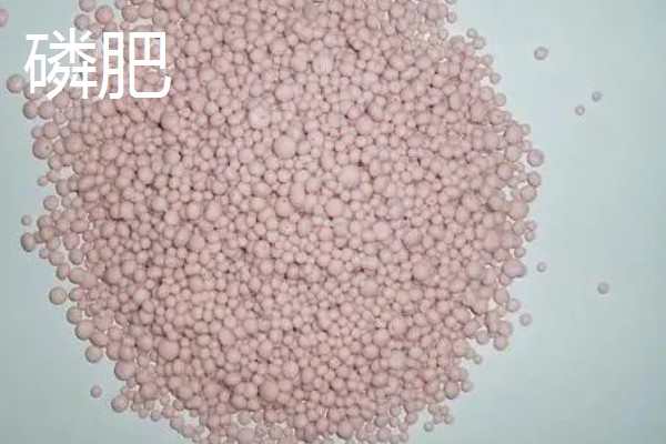 各种肥料的作用，氮肥可以增强植物长势、提高抗旱和抗寒能力