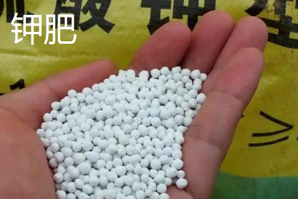 各种肥料的作用，氮肥可以增强植物长势、提高抗旱和抗寒能力