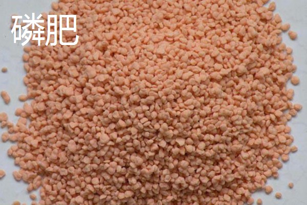 各种肥料的作用，氮肥可以增强植物长势、提高抗旱和抗寒能力