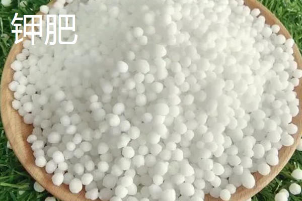 各种肥料的作用，氮肥可以增强植物长势、提高抗旱和抗寒能力