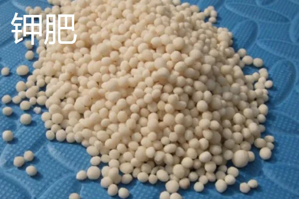 各种肥料的作用，氮肥可以增强植物长势、提高抗旱和抗寒能力