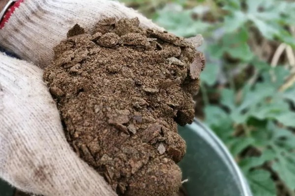 各种肥料的作用，氮肥可以增强植物长势、提高抗旱和抗寒能力
