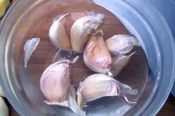 大蒜春腐病怎么防治,发病初期喷施甲霜恶霉灵等药物